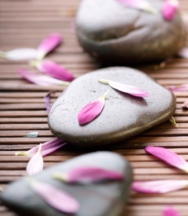 Spa Packages are available at 252 West Salon. Give the gift of relaxation or spend the day with a friend or loved one indulging in decadence.